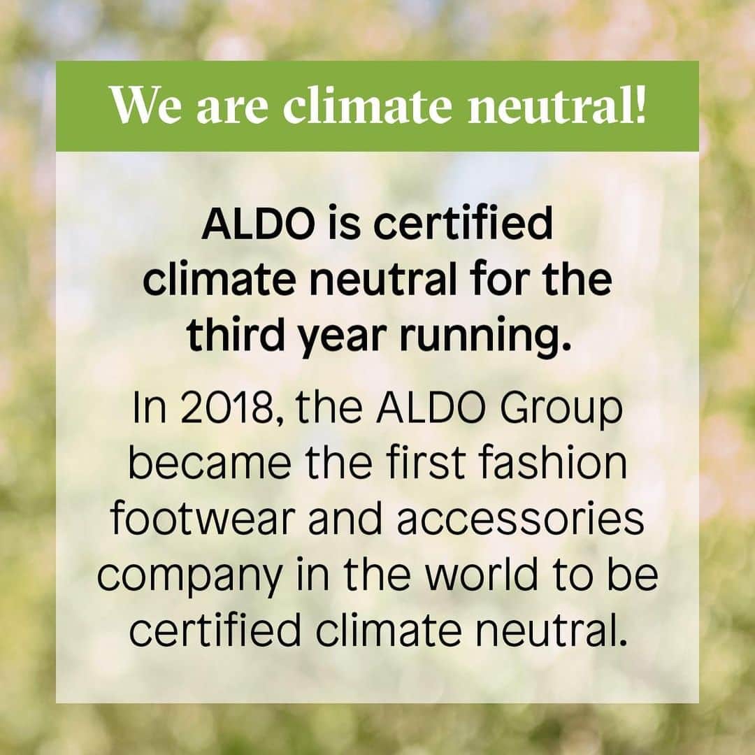 ALDO shoesさんのインスタグラム写真 - (ALDO shoesInstagram)「ALDO is certified climate neutral for the third year running.  In 2018, we became the first fashion footwear and accessories company in the world to be certified climate neutral.  Now more than ever, we carry forward our sustainability journey by continuing to reduce our net emissions and compensating the unavoidable ones through a combination of nature-based forest conservation and clean energy projects.」11月12日 23時36分 - aldo_shoes