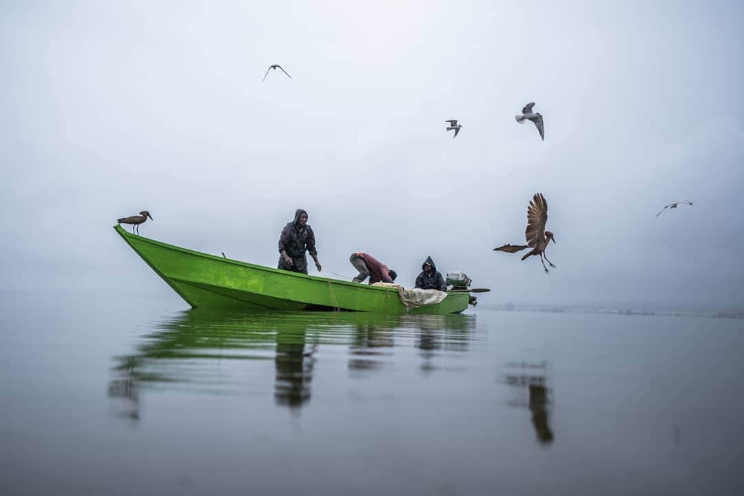 National Geographic Creativeのインスタグラム