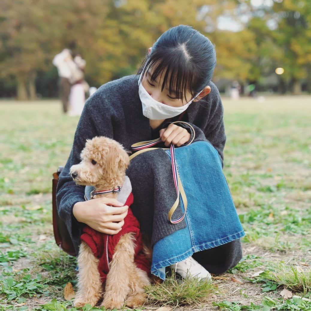 古川未鈴さんのインスタグラム写真 - (古川未鈴Instagram)「最近 世の中に たくさんの素敵な報告が 溢れております！  すごいなー！と思うと同時に ときは流れてるんやな、、 としみじみと。  なんとなくですが よく子供は考えてますか？との 質問をたくさんいただくので 少し触れてみようかと！  そもそも私は子供と触れ合ったことが あまりなく 子供ってどういう生物なのだろう、、？ くらいな感じです。 なので、 子供欲しい、、！と強く思ったことはあまりありません。  それでも 欲しいか欲しくないかでか言われれば 子供がいたら私は変われるかもしれない！ 次の私の生きる目標になる！ って思うので欲しいかな。  あときっと 子育てとかって本当にしぬほど大変なんだろうけど それでも可愛く思えてくるんだろうな、と。  そもそも結婚に踏み切ったのも 昔から結婚したい！とは思ってなかったのですが もしかしたら変われるかもしれない、、！と飛び込んだ感があります。  なのでそこと同じような思いがあります。  しかし本当に この手の話題については 話す人もいなく 知識がまるで無かったので 知らずに生きてしまっていたら  世の中には 高齢出産 という言葉があるんですね よくよく調べてみると あれ、私まもなくなのでは？ ということに気づきまして。  元々、子宮にちょっとしたできものみたいなのが 出来てて なんとなく 本当に子供が欲しい！って思った時に 間に合いませんでした！みたいになると 大後悔してしまうのでは？ とも思いまして。  そんな色んなことを思うと あ、時間は有限なんだなーということに気付かされます。  なので もし授かり物を受け取ることができたら 大事にしたい、そしてみんなにも報告できたらいいなぁと思うし もしなかったらなかったで ばむちゃとけるくんを 大事に育てるのは変わらないです。  みたいなことをぼーっと思ったので 書き残しておきます。  人生って難しい。 みんなそれぞれ選択肢を考えて選んでるんだね、すごい、、！」11月13日 0時17分 - furukawamirin