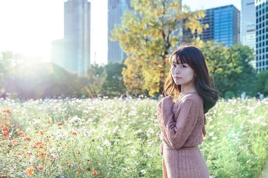 竹本茉莉のインスタグラム：「. 秋桜と夕陽と。 撮っていただいたもの、 どれを載せようか迷ったけれど 光の感じが違って全部好きで 選べませんでした🌇 . . . . . . .  . #ポートレート #ポートレート撮影 #秋桜 #コスモス #写真好きな人と繋がりたい #photography #japanesegirl  #카메라 #사진 #풍경 #寫真」
