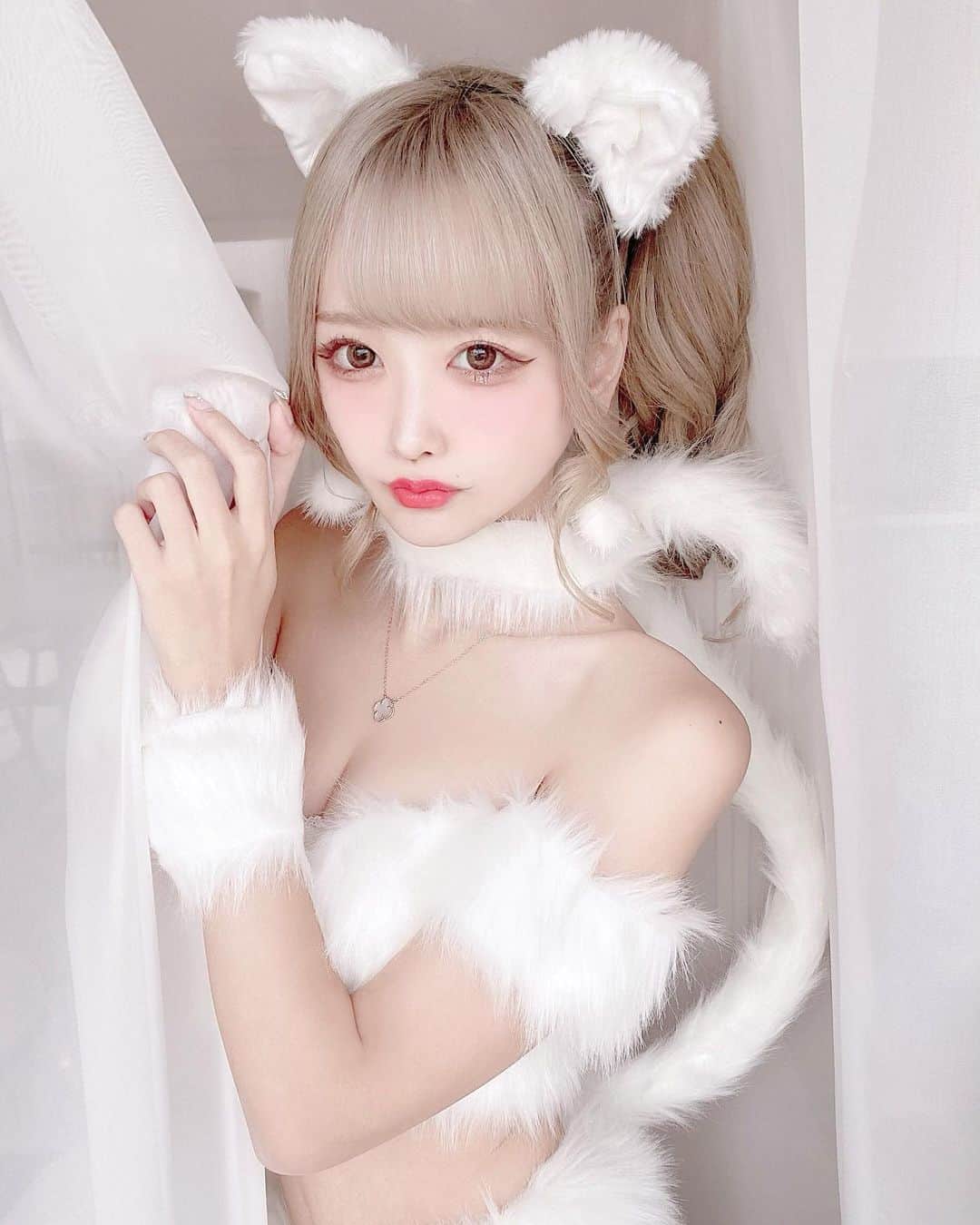のインスタグラム：「えりんこちゃんといさこちゃんと3つ子のふわふわ白猫♡  コスプレ @dress_sugar  スタジオ @socialhousebine   #ハロウィンコスプレ#ハロウィン仮装#ハロウィンパーティー#ハロウィンメイク#ハロウィン🎃#コスプレ#コスチューム#猫耳#ねこ #Halloween #ハロウィン #ハロウィンコス #ハロウィンコスプレ #コスプレ #cosplay #halloweencostume #halloweenmakeup #halloweenparty」