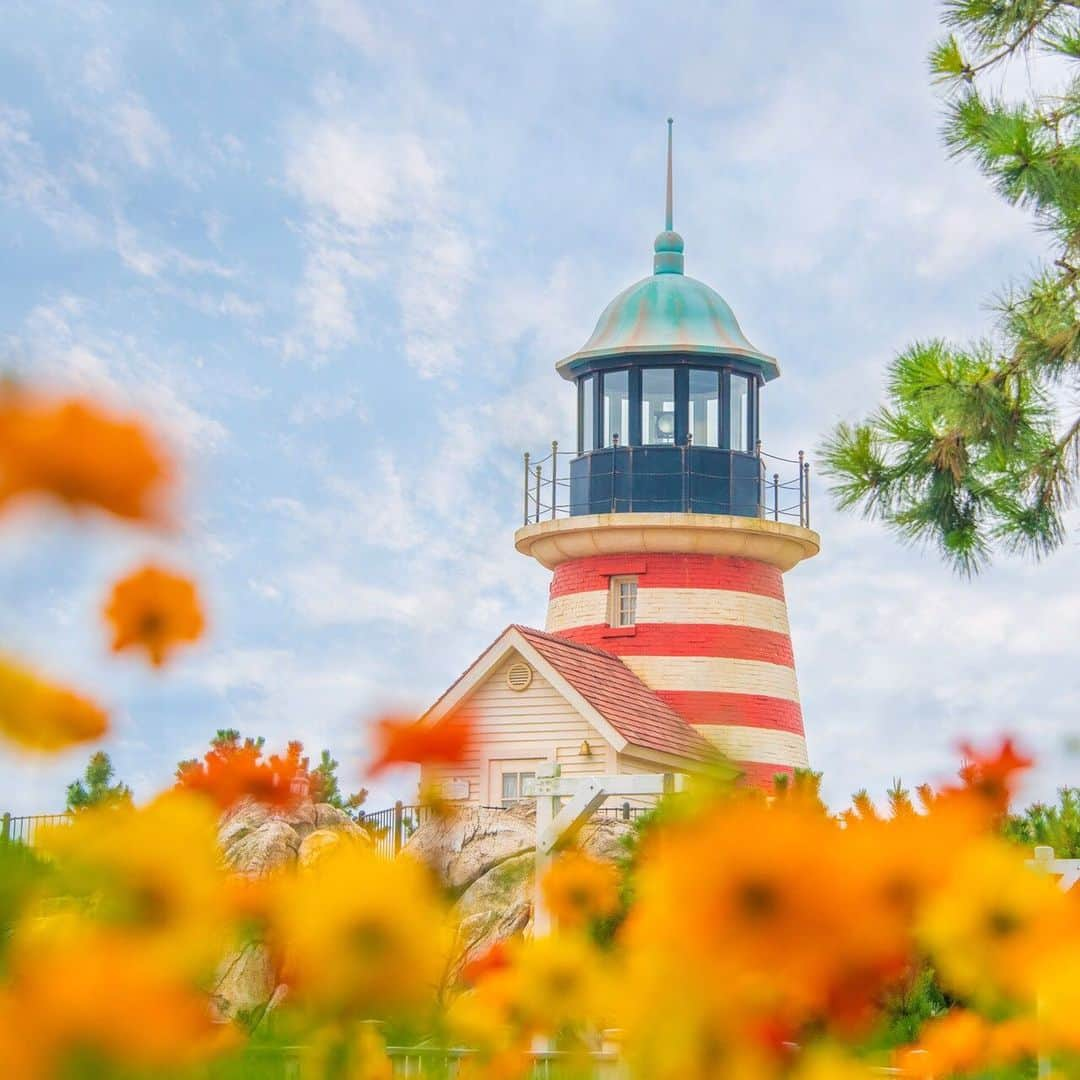 東京ディズニーリゾートさんのインスタグラム写真 - (東京ディズニーリゾートInstagram)「A stroll through Cape Cod. ケープコッドをのんびりおさんぽ #hurricanepointlighthouse #capecod #americanwaterfront #tokyodisneysea #tokyodisneyresort #ハリケーンポイントライトハウス #ケープコッド #アメリカンウォーターフロント #東京ディズニーシー #東京ディズニーリゾート #秋空」11月13日 10時46分 - tokyodisneyresort_official