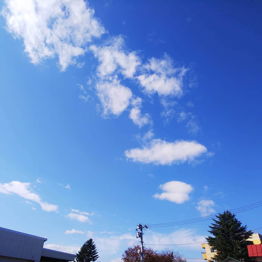 みながわゆみさんのインスタグラム写真 - (みながわゆみInstagram)「#いまそら #イマソラ #青空 #きもちいい #気持ちいいお天気 #感謝 #ありがとう #雲」11月13日 10時50分 - nama.09.19