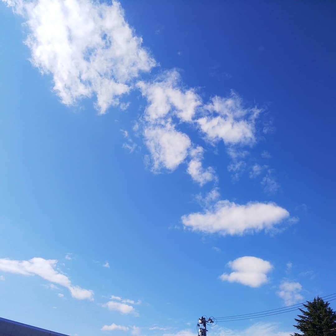 みながわゆみさんのインスタグラム写真 - (みながわゆみInstagram)「#いまそら #イマソラ #青空 #きもちいい #気持ちいいお天気 #感謝 #ありがとう #雲」11月13日 10時50分 - nama.09.19