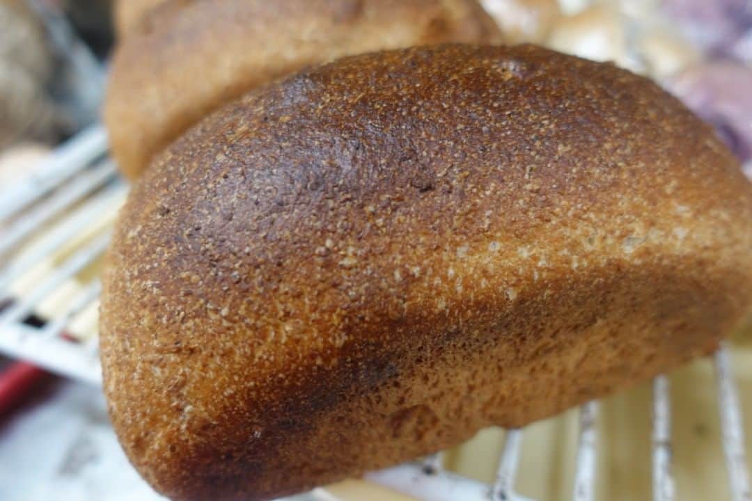 魔女菅原のグルメインスタ