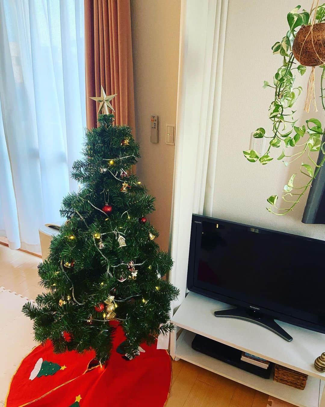 有働文子さんのインスタグラム写真 - (有働文子Instagram)「クリスマスツリー出しました🌲🎄 オーナメント全部外されるかなーと思いましたが...今のところ無傷👏 サンタが来る日まで、無事でいられますように‼︎  #クリスマスツリー #ツリーオーナメント  #季節を楽しむ」11月13日 11時08分 - udou_fumiko