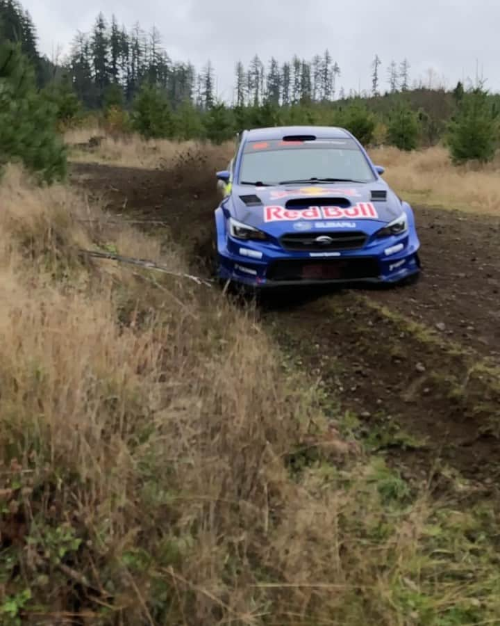 Subaru Rally Team USAのインスタグラム