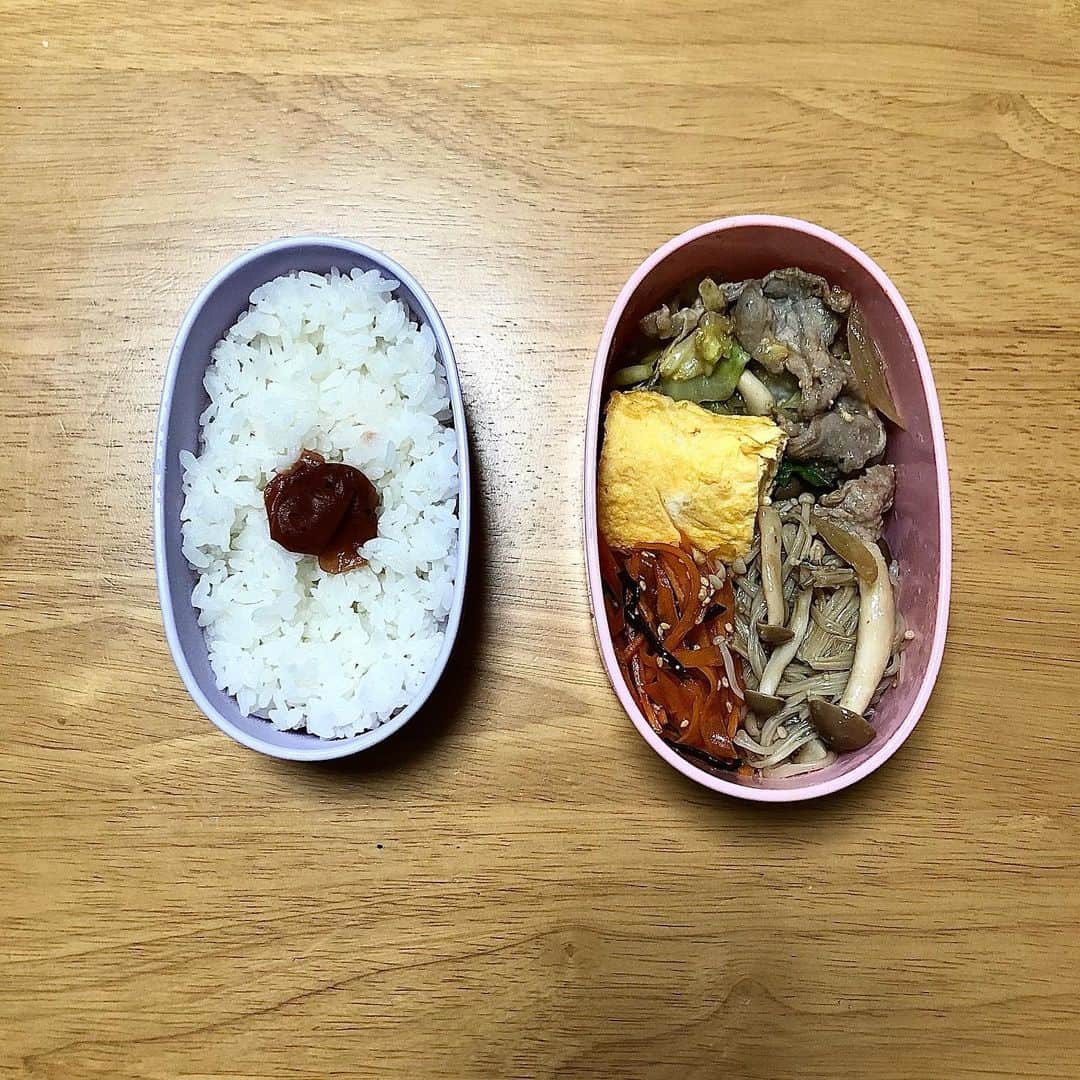みのり(26)＠東京 ダイエットのインスタグラム：「お昼ごはん . 日の丸ごはん 卵焼きの 豚キャベツ味噌炒め にんじんの塩昆布 無限きのこ . . . 院内の認定試験、同期と受けて 私だけ落ちるという🤢 . . （´・ω・`）まぁ、いいけどさ。 . .  . ◉ライザップ公認の紹介アンバサダーです。 〜紹介特典で、お安く入会できます〜 . ▶︎全国どの店舗でもOK ▷２週間のトライアルコースもあります(^_^)/ ▶︎カウンセリング予約前にご連絡ください . ◎入会やカウンセリングをお考えの方、 ご質問なども、DM✉️ください。 . ★トレーニング見学もできます★ . 📺RIZAP TVCM出演 🏅RIZAP BMG ファイナリスト2017.2018 . #rizap #ライザップ . #ダイエット #diet #ダイエット日記 #レコーディングダイエット #instadiet #ダイエット仲間募集 #ダイエッター #公開ダイエット  #昼ごはん #昼御飯 #lunch #昼ご飯 #昼食  #おうちごはん #糖質制限 #healthyfood #healthylifestyle  #fitmeal #oneplate #cleanmeals #健康弁当」