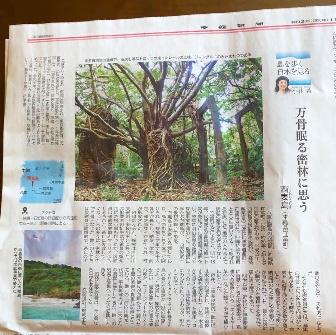 小林希さんのインスタグラム写真 - (小林希Instagram)「11/13 産経新聞で連載中の⬇️﻿ 「島を歩く、日本を見る」﻿ (隔週金曜日、生活面)﻿ ﻿ 17回目は八重山諸島の西表島です。﻿ みなさんは、沖縄県の、 「二つの黒いダイヤ」って何か ご存知でしょうか。  一つは黒糖。もう一つは石炭。 沖縄県で唯一、西表島で石炭がみつかり、 約80年も炭鉱の歴史があるのです。  従事した坑夫は島外の人たち。 日本近代化と軍需産業に貢献したけど、 存在すら記憶に薄れつつある坑夫たち。 密林という緑の牢獄で、ただひたすら 過酷な労働だったといいます。  ちなみに西表島の人たちは、 炭鉱にはかかわらず、 「ある日突然どこから人が大勢やってきて、 炭鉱村ができていた」﻿ という感じみたい。  でもやっぱり、島で起きた史実として 後世に伝えたいと島の人が語っていました。  ぜひ、いつか現地へ行ってみてください🙏  #西表島 #sankei #産経新聞 #新連載 #島旅 #島を歩く日本を見る #island #離島 #沖縄県 #八重山諸島 #竹富町 #炭鉱遺産 #近代化産業遺産 #見るべき遺構#宇多良炭鉱跡 #大切な歴史」11月13日 11時33分 - nozokoneko