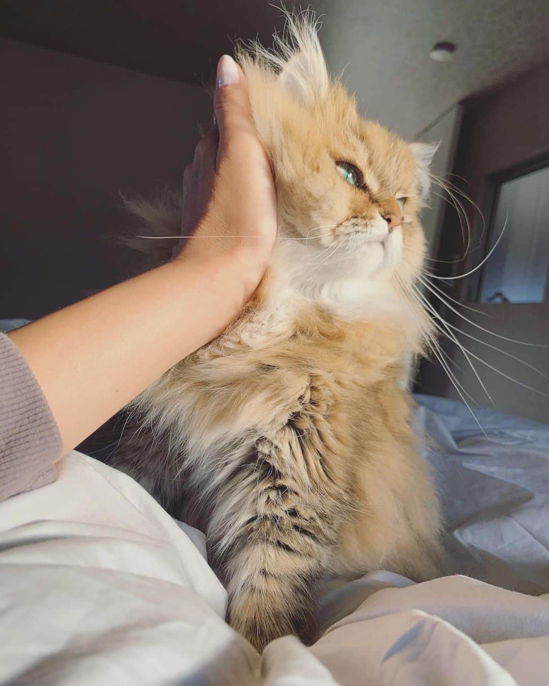 にこのインスタグラム