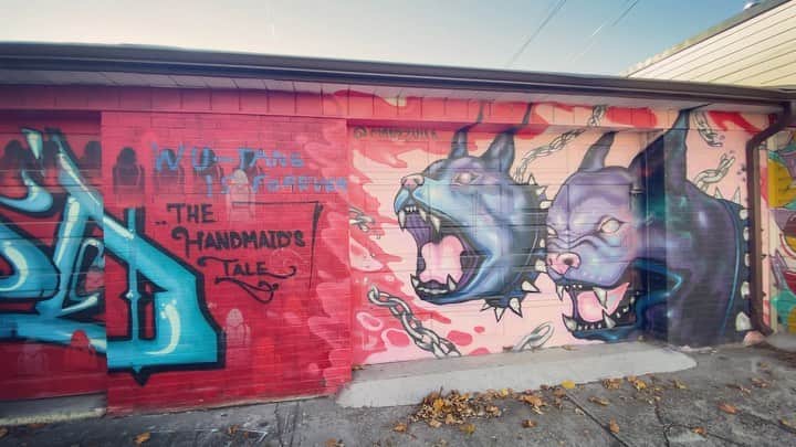 サイモンとマルティナのインスタグラム：「We’re having unusually warm weather in Toronto, so it has made walking outside and exploring in November a lot easier. I’m checking out the artwork in The Annex, a neighbourhood in Toronto 📷 Winter is coming and with it, chilly days and nights, so if you can, talk a stroll and soak up the Vitamin D! (Question for those of you with hEDS/POTS: in the last few years the cold has drastically affected me 🤔 If I start to get cold, I first lock up (really tense muscles all over, all at once) and then I start trembling. If I don’t get warm ASAP, I’ll start hardcore shaking, teeth clench etc. It goes away after 5-10 minutes ONLY if I immediately get warm somehow. Has anyone else experienced this due to cold? 📝🤔」