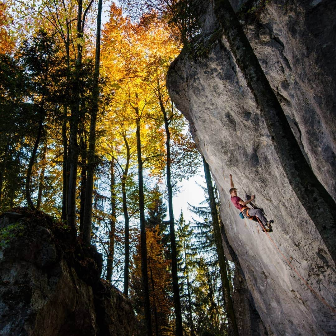 ヨルグ・バーホーベンのインスタグラム：「Autumn 🍃🍂🍁 my favourite time of year. Just when I thought 2020 went from  summer straight to winter, autumn peeked around the corner, bringing the finest climbing days to Tyrol. Seems like it's time for even the toughest of gym rats to take a look outside! Photo by @tobias_lanzanasto」