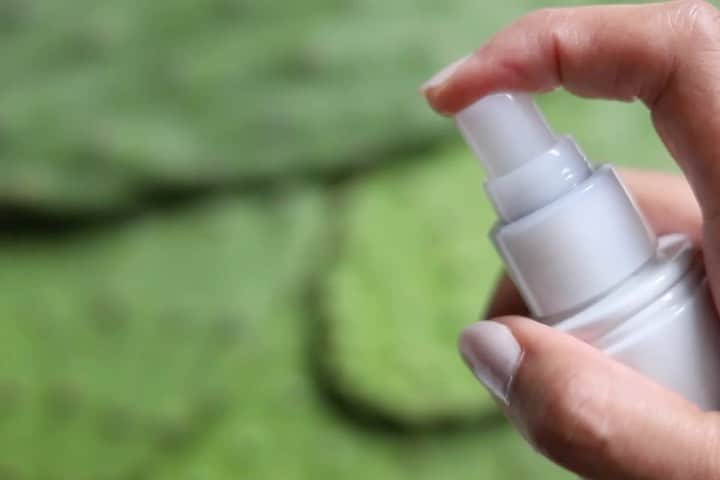 Weledaのインスタグラム：「Does your skin need a little pick-me-up? 🌵 Our Sheer Hydration Moisture Mist delivers instant hydration when you need it most! #WeledaSkin」