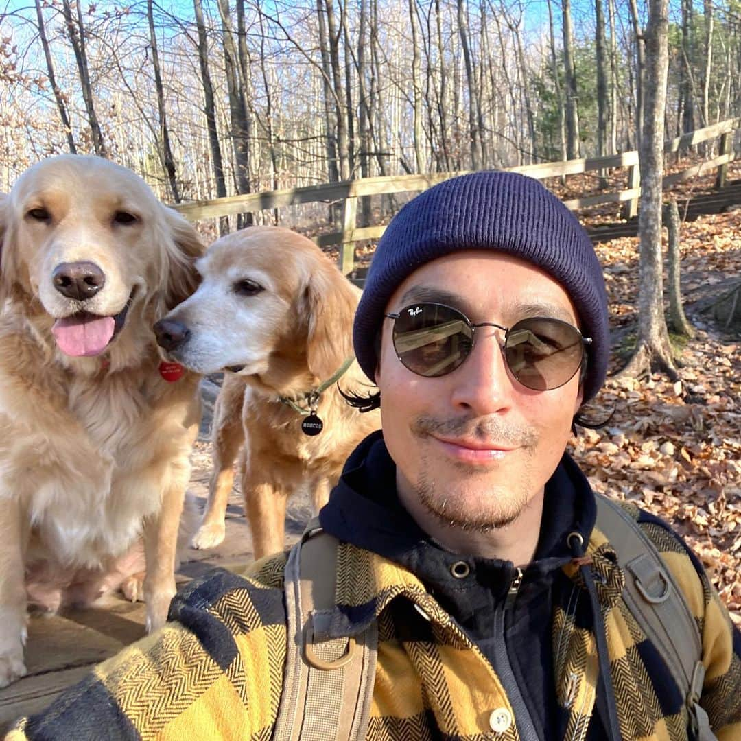 ダニエル・ヘニーさんのインスタグラム写真 - (ダニエル・ヘニーInstagram)「Beautiful November day in Northern Michigan.  Perfect for a hike with the doggos」11月13日 6時03分 - danielhenney