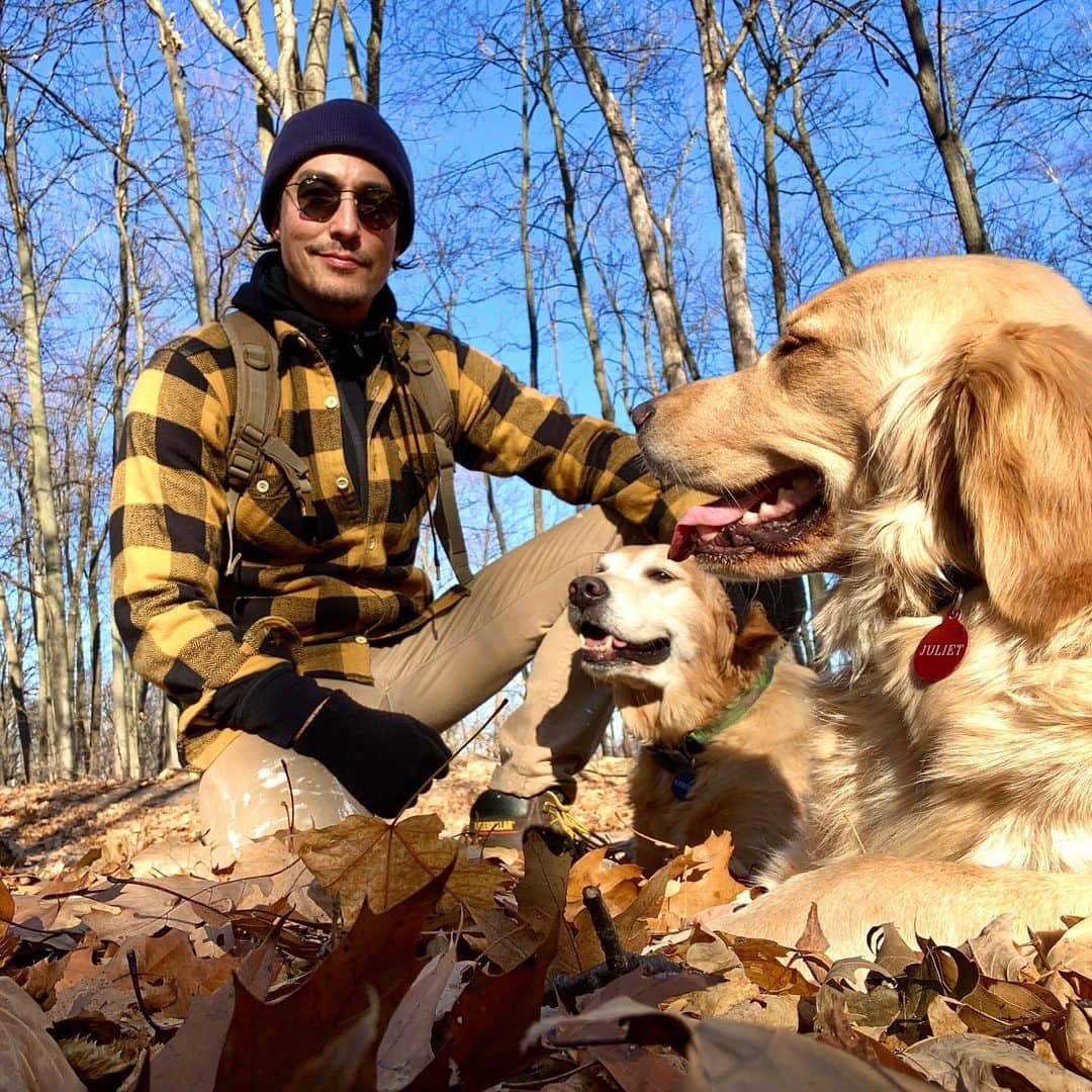 ダニエル・ヘニーのインスタグラム：「Beautiful November day in Northern Michigan.  Perfect for a hike with the doggos」
