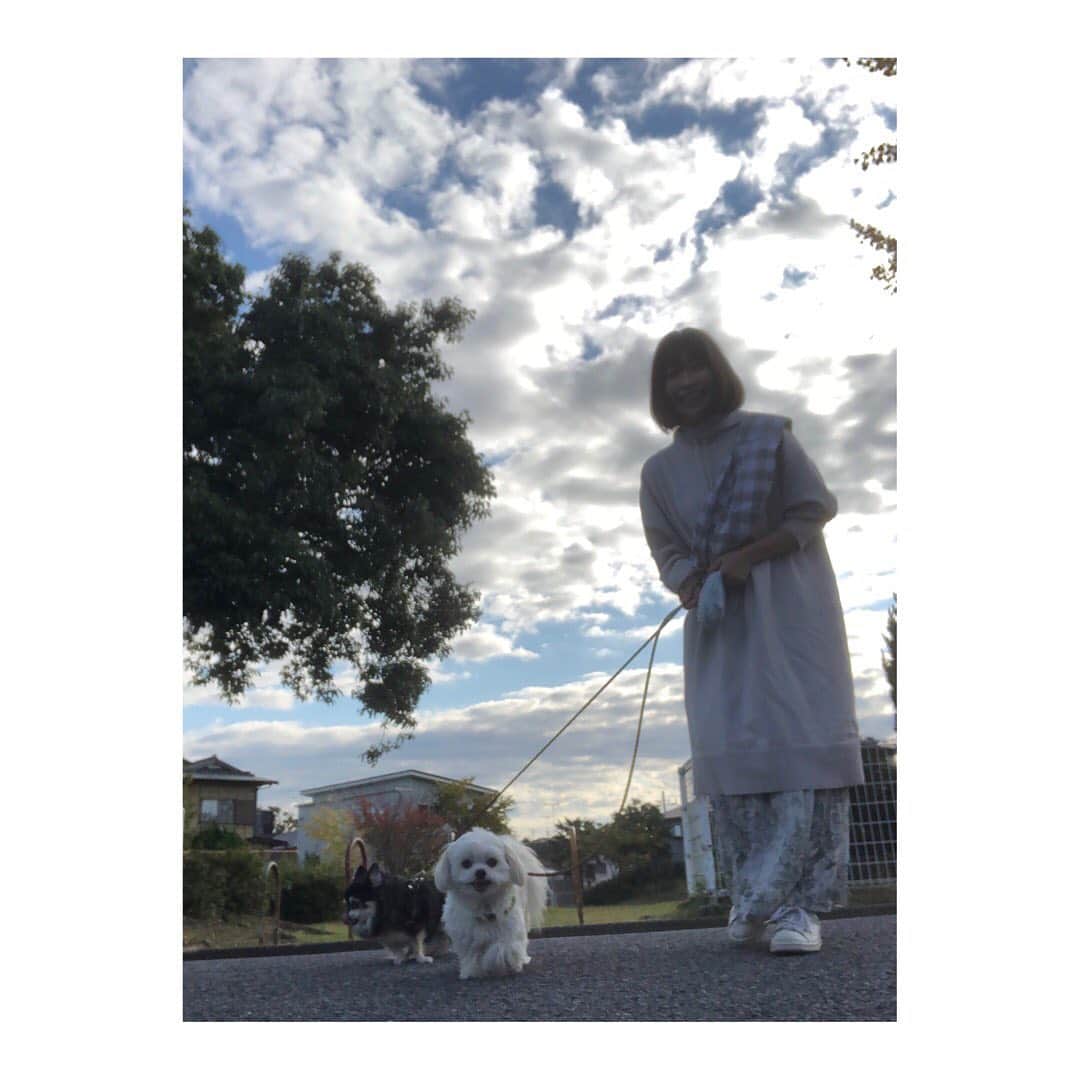小野真弓さんのインスタグラム写真 - (小野真弓Instagram)「おはようございます🌱 寒いけど❄️みんな元気に！あさんぽです🐶🐶🙋‍♀️✨ これがなくちゃあ、一日が始まらない〜(*´ω`*) お散歩いのち！！🐾ハナハル ハルくんは、、＋ボール投げいのち！🎾 今日もそれぞれの、良い一日を*\(^o^)/* Stay safe 😷🦠 #チワワ#ハナちゃん #チワマル#ハルくん #あさんぽ#朝のルーティン#いぬばか部 #いぬすたぐらむ #chihuahua #maltese #mixdog#doglover #dogstagram #犬のいる暮らし #千葉暮らし#散歩風景#朝陽 わんこの為なら、えんやこら〜🌞 早起きだって、なんのその〜😪 (￣∀￣)🙋‍♀️」11月13日 6時13分 - hanaharuaroi