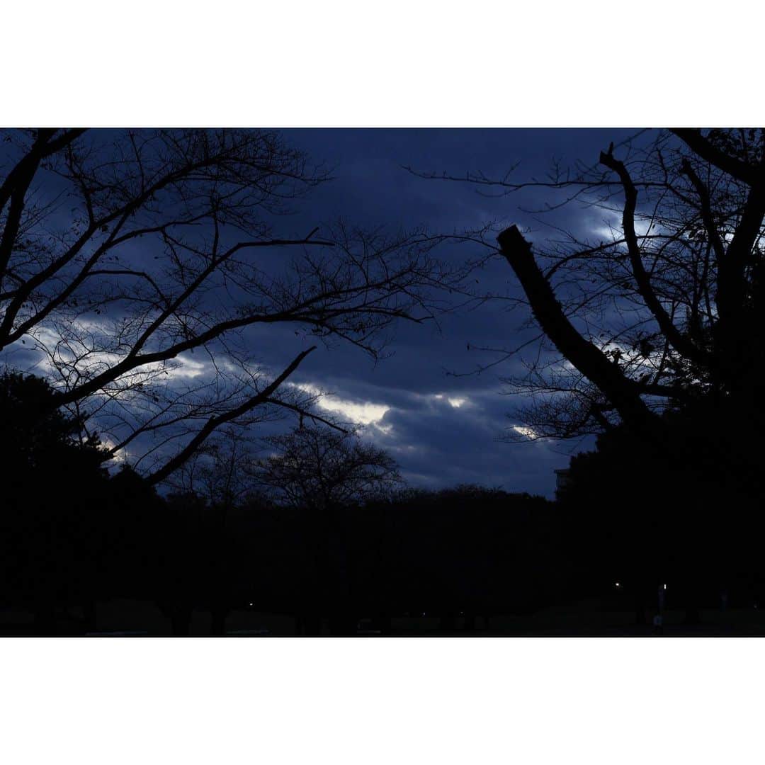 池田愛さんのインスタグラム写真 - (池田愛Instagram)「#カメラのある生活 #秋空」11月13日 6時04分 - ai_ik3