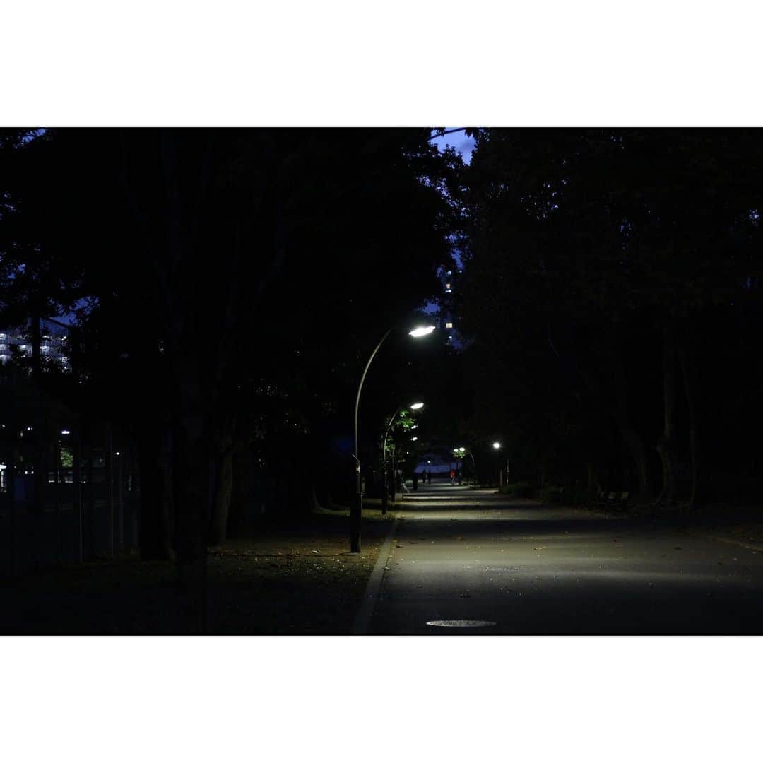 池田愛のインスタグラム：「#カメラのある生活 #夜」