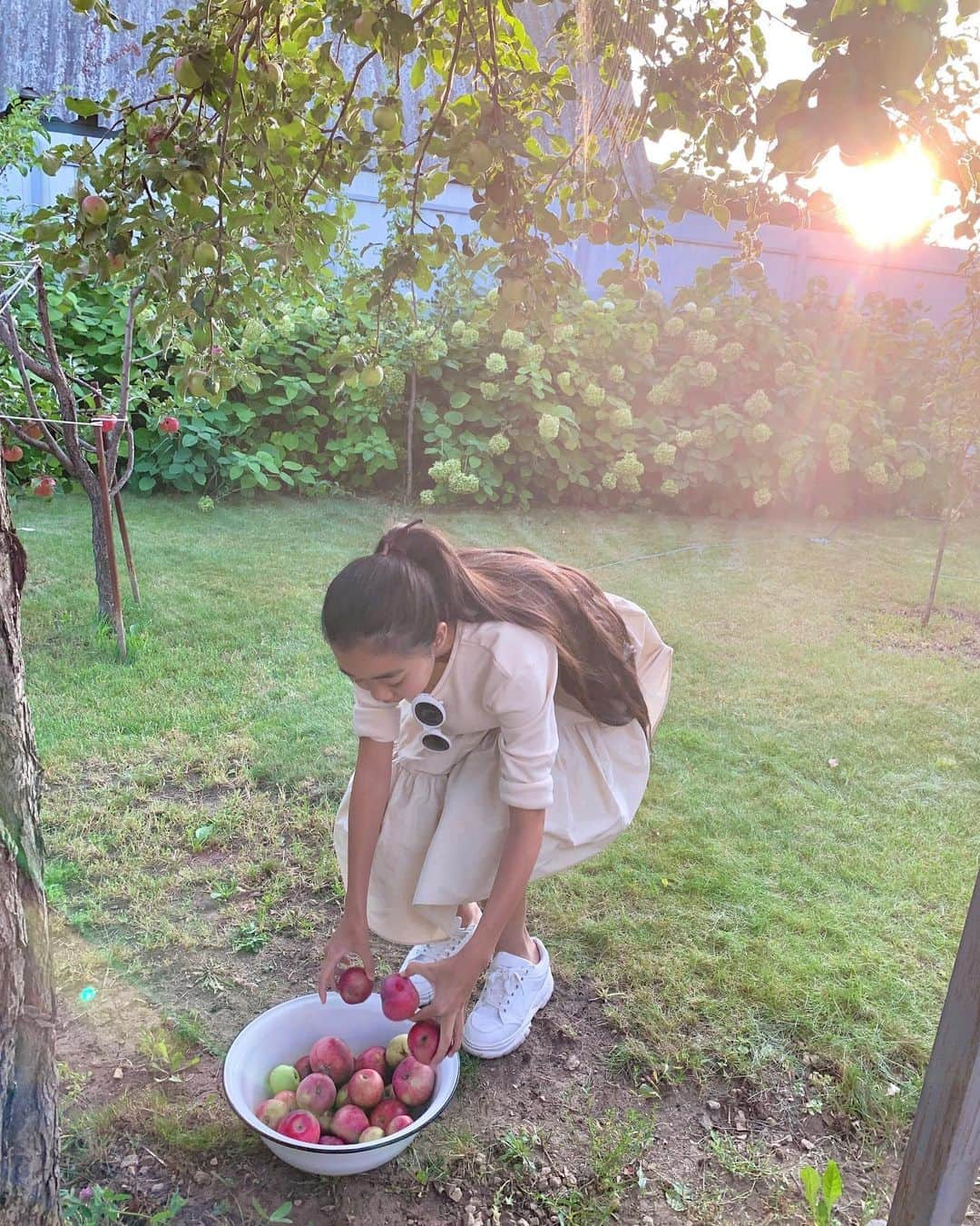 Laraさんのインスタグラム写真 - (LaraInstagram)「яблоки 🍎  お友達の家でりんご🍎狩り  . #思い出  #2019年9月 #ロシア #🇷🇺」11月13日 7時29分 - fa_la_lara