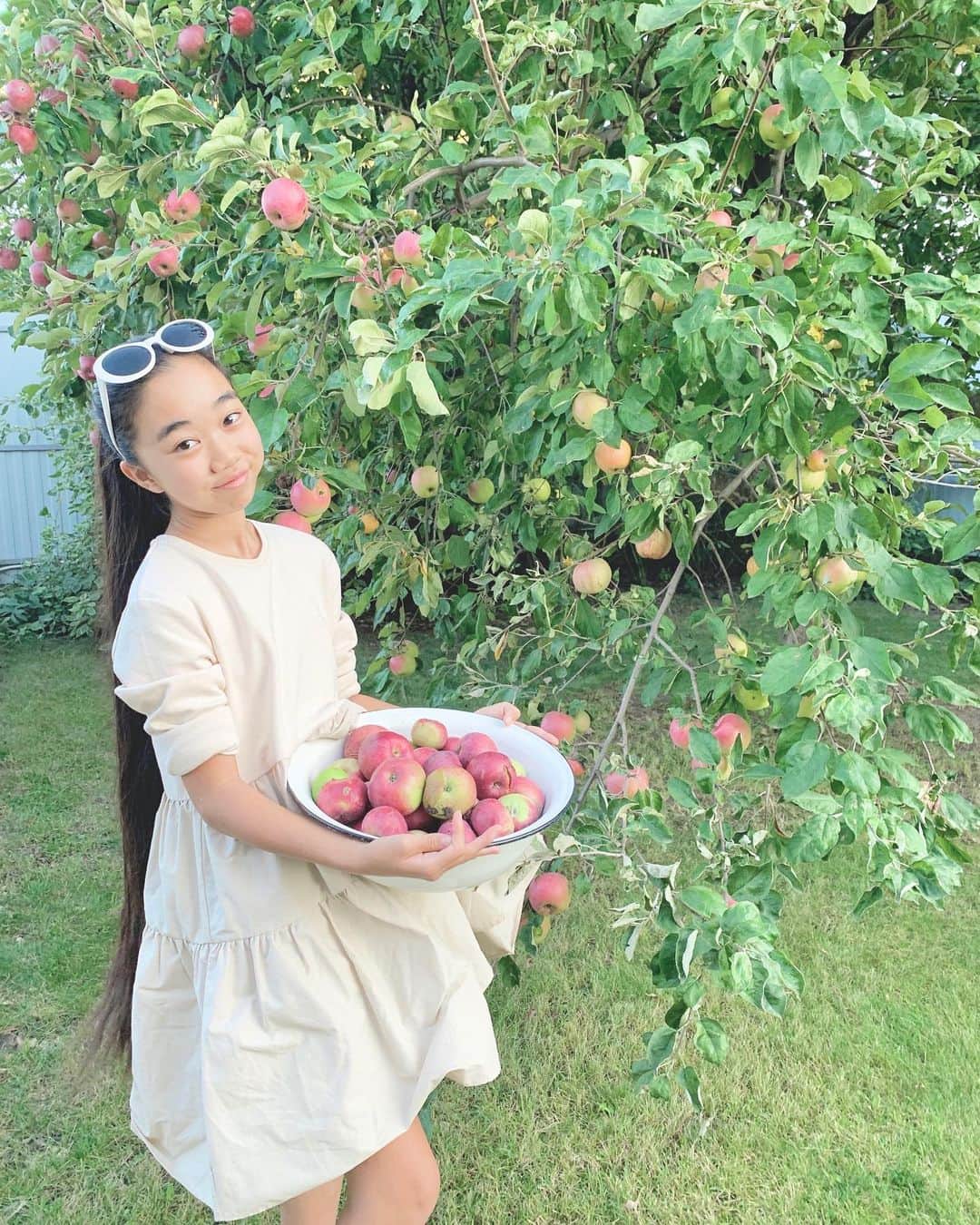 Laraのインスタグラム：「яблоки 🍎  お友達の家でりんご🍎狩り  . #思い出  #2019年9月 #ロシア #🇷🇺」
