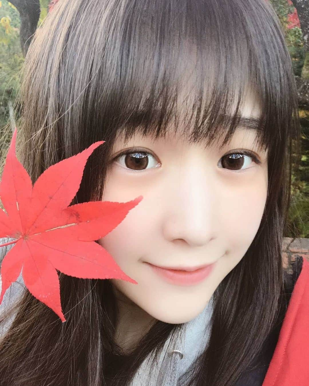 上原わかなさん推しのインスタグラム：「がんばれ！上原わかなさん！ #上原わかな #上原わかなはいいぞ #いいわかなかわいい #上原わかな守り隊 #タレント #大食い女子  #秋 #紅葉 #きれい  #金曜日はYouTube #がんばれ上原わかな  #わかなが1番」