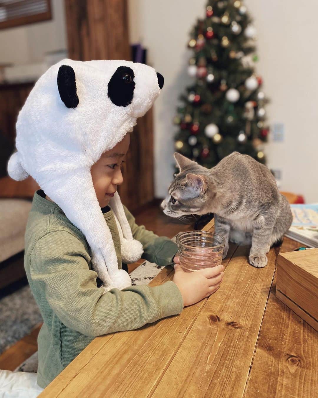 rats1316のインスタグラム：「・ 朝の一コマ。 🐼「水、飲む？」 🐈「飲んでいいの？」 ・ ・ ・ #こどものいる暮らし#ねこすたぐらむ#ねこのいる生活#ねこのきもち#保護猫」