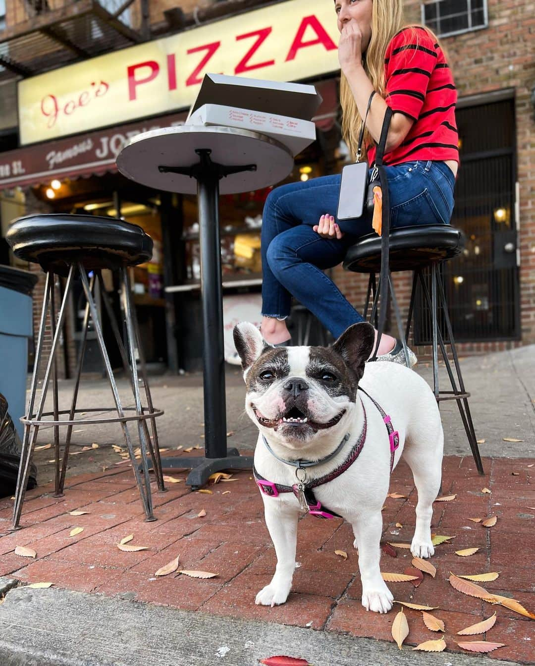 The Dogistさんのインスタグラム写真 - (The DogistInstagram)「Pixie, French Bulldog (5 y/o), Carmine & 6th Ave., New York, NY • “She’s super friendly – not good at social distancing.” @pixiethesmilingfrenchie #ShotOniPhone 12 Pro Max」11月13日 8時01分 - thedogist