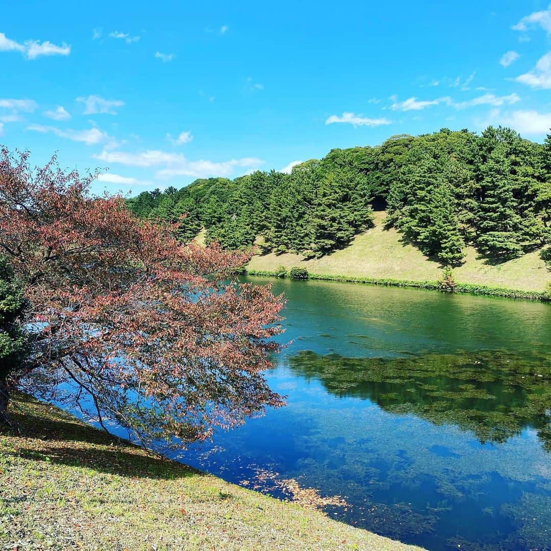 山内圭哉のインスタグラム：「おはよう御座います。 冬が来ましたね。 写真はいつぞやの皇居のお堀。 今日も皆様お気をつけて。」