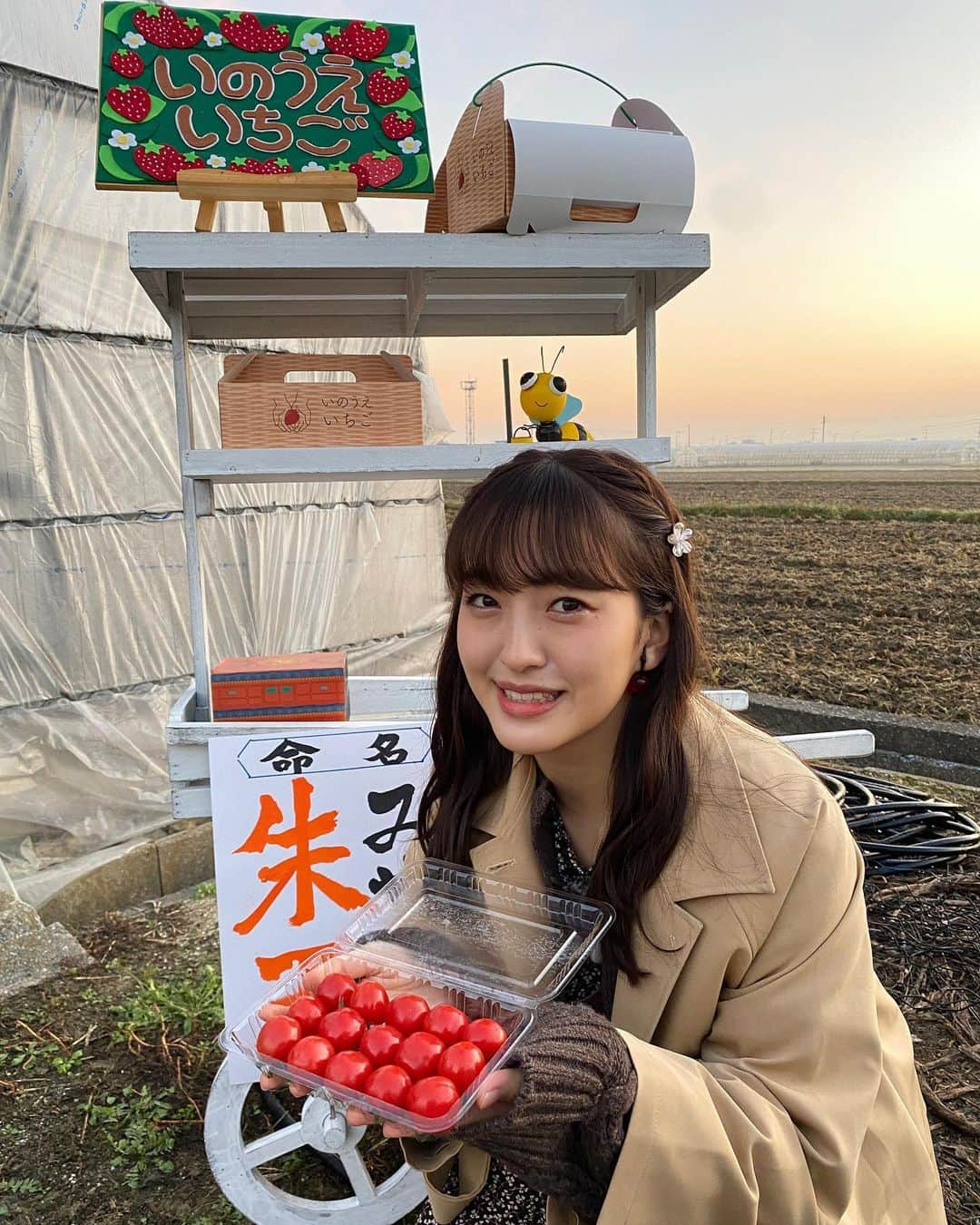 田島芽瑠さんのインスタグラム写真 - (田島芽瑠Instagram)「さくらんぼトマト🍒🍅  今日のアサデス。はみやこ町から中継させていただきましたよー！！  「井上農園」さんにお邪魔しました❤︎  さくらんぼみたいに可愛くてツヤツヤしたミニトマトをいただきました🤤 ミニトマトのあのプチっと感ではなく、食感はさくらんぼに近い柔らかい感じで味はトマトの甘さでした🍅🤍  新感覚！めちゃくちゃ美味しい！ トマトのあの食感が苦手なんだよね…って方はこれなら食べれるかもしれん🤔  とっても美味しくて幸せでした🥰🥰」11月13日 8時40分 - meru_chan_official