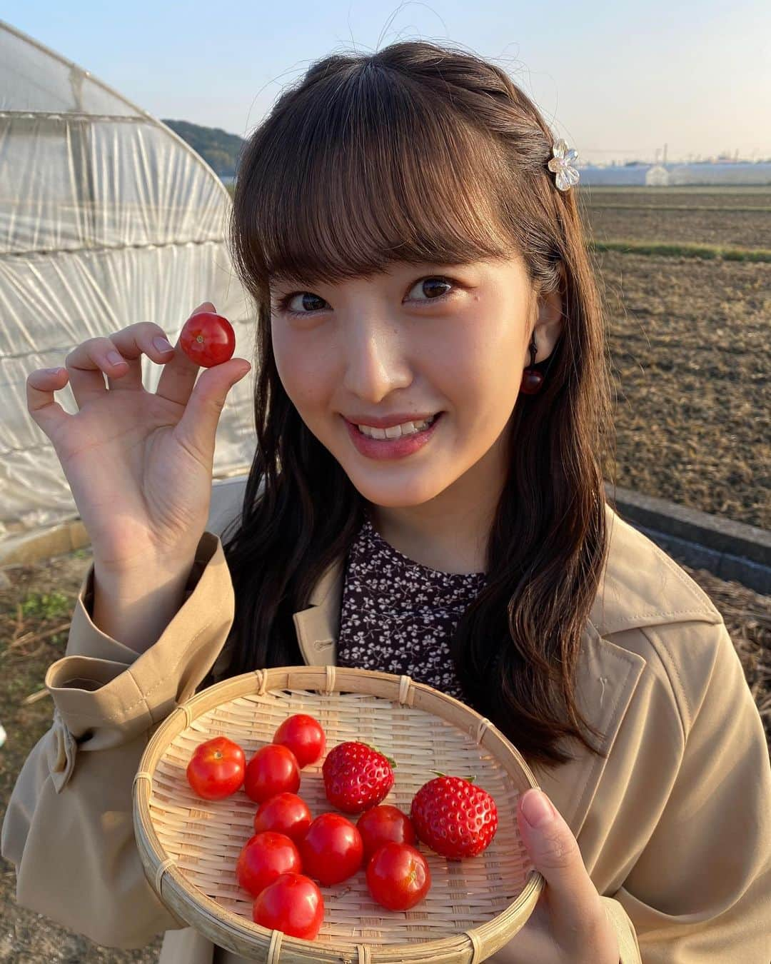 田島芽瑠さんのインスタグラム写真 - (田島芽瑠Instagram)「さくらんぼトマト🍒🍅  今日のアサデス。はみやこ町から中継させていただきましたよー！！  「井上農園」さんにお邪魔しました❤︎  さくらんぼみたいに可愛くてツヤツヤしたミニトマトをいただきました🤤 ミニトマトのあのプチっと感ではなく、食感はさくらんぼに近い柔らかい感じで味はトマトの甘さでした🍅🤍  新感覚！めちゃくちゃ美味しい！ トマトのあの食感が苦手なんだよね…って方はこれなら食べれるかもしれん🤔  とっても美味しくて幸せでした🥰🥰」11月13日 8時40分 - meru_chan_official