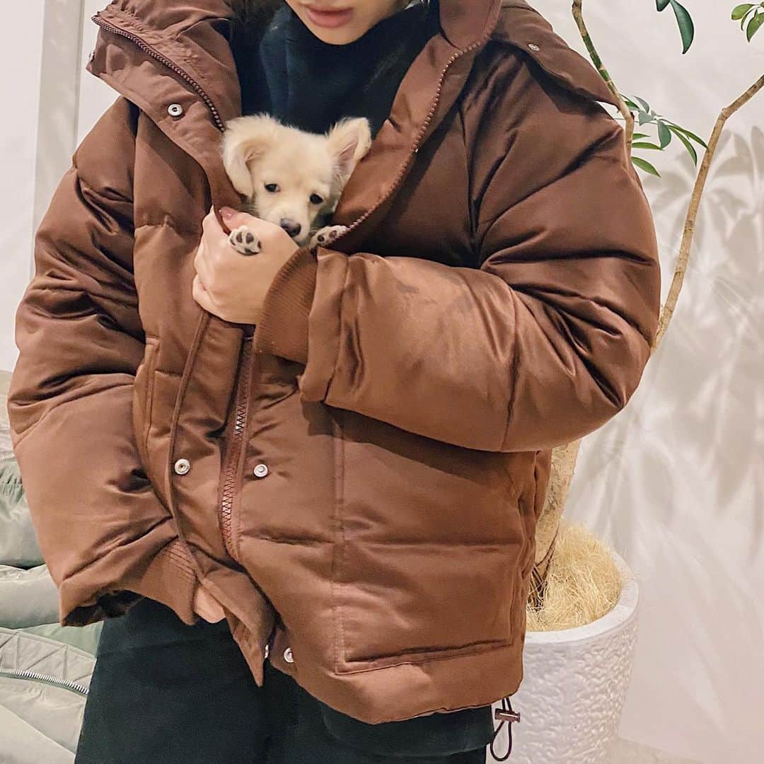 佐々木彩乃のインスタグラム：「今年のダウンはブラウンにした🤎 光沢感があってカジュアル過ぎなくて好き！ フレアボールという中綿が入ってて軽いのに暖かいです！」