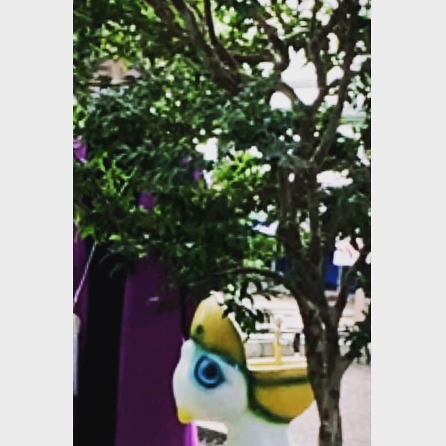 たむらぱんのインスタグラム：「きのせい  #🌳」