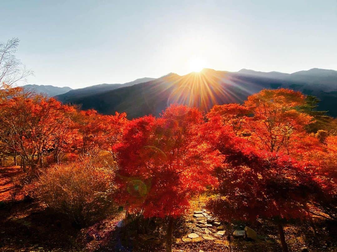 謝依旻さんのインスタグラム写真 - (謝依旻Instagram)「#japan #autumn   #秋  #紅葉  #秩父 #日帰り旅行」11月13日 10時22分 - igo_1116