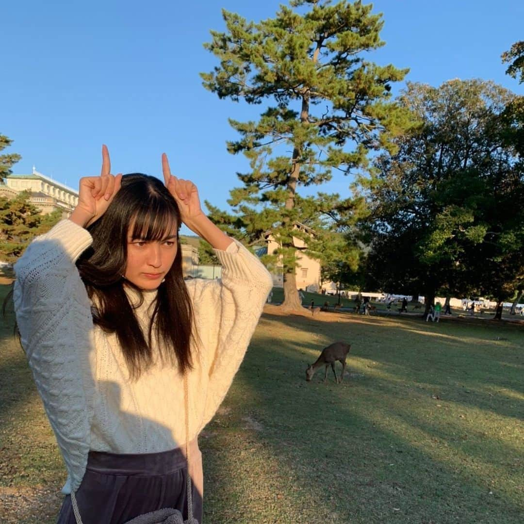 堀口日萌さんのインスタグラム写真 - (堀口日萌Instagram)「奈良なら奈良③ . 東大寺！！！ 見た瞬間うわぁだぁぁぁ ってなった もうなんかレベちでした🦋🦋 This is JAPANてかんじ 奈良って時間の流れめっちゃゆったりじゃない？？ 不思議な感じなる☁️☁️☁️ また行きますー✨  #奈良#narajapan#naradeer#古都奈良#東大寺#南大門#金剛力士像」11月13日 21時28分 - himechannel_0624