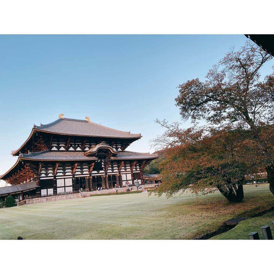 堀口日萌さんのインスタグラム写真 - (堀口日萌Instagram)「奈良なら奈良③ . 東大寺！！！ 見た瞬間うわぁだぁぁぁ ってなった もうなんかレベちでした🦋🦋 This is JAPANてかんじ 奈良って時間の流れめっちゃゆったりじゃない？？ 不思議な感じなる☁️☁️☁️ また行きますー✨  #奈良#narajapan#naradeer#古都奈良#東大寺#南大門#金剛力士像」11月13日 21時28分 - himechannel_0624