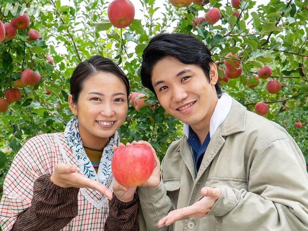 志田未来さんのインスタグラム写真 - (志田未来Instagram)「来年もその先も、リンゴの花が咲くのを一緒に見ようと約束をした２人。  リンゴ農園で🍎📷✨  #朝ドラエール #佐久本宝 #志田未来」11月13日 20時40分 - mirai_fanaccount