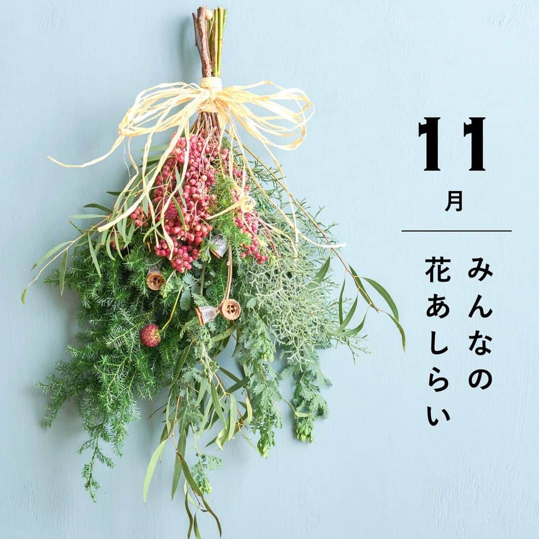 LOVEGREEN -植物と暮らしを豊かに。のインスタグラム