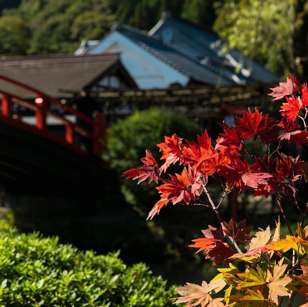 江戸ワンダーランド 日光江戸村のインスタグラム：「・ 散歩道  Promenade🍁 何色の秋が好きですか？What color of autumn do you like? ・ ・ #edo #gototravel #秋の江戸 #紅葉 #江戸の町並み #いざ江戸へドロン  #edowonderland #江戸ワンダーランド日光江戸村」