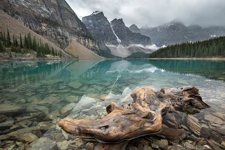 National Geographic Travelさんのインスタグラム写真 - (National Geographic TravelInstagram)「Photo by @daisygilardini / Moraine Lake in the heart of the Canadian Rocky Mountains is one of Banff National Park’s jewels. The turquoise water surrounded by mountains is simply breathtaking. I was walking along the lake’s side when my attention was drawn to an old log floating on the surface. It made for a perfect strong foreground. Follow me @DaisyGilardini for more images and stories behind the scenes. #landscapephotography #fallcolor #BanffNationalPark #Canada」11月13日 12時34分 - natgeotravel