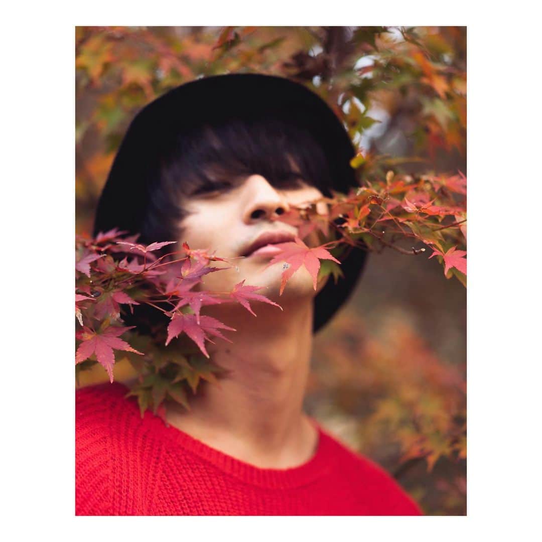 ロビンのインスタグラム：「🍁🍁🍁  さぁこの秋はなに食べますか？ なに読みますか？ なに観ますか？」