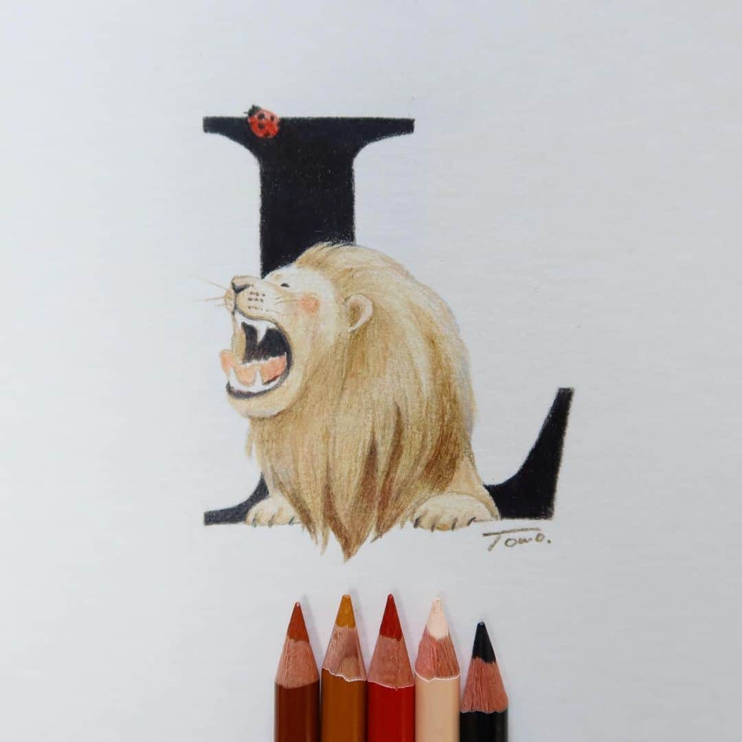 Tomoko Shintaniのインスタグラム：「Letters “L” 🦁🐞♡ . がおー . #letters #lion #ladybird #leothelion #holbeinartistscoloredpencil #karismacolorpencils .」