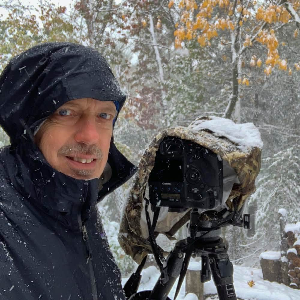 thephotosocietyさんのインスタグラム写真 - (thephotosocietyInstagram)「Photos by @TimLaman.  I enjoy photographing birds from the far islands of New Guinea to my own backyard, where I took these shots of Blue Jays the other day during an unusual October 30 snowstorm here in Massachusetts.  I think sometimes we forget to look closely and appreciate the commonplace in nature, and these backyard beauties are a prime example.  Look closely, and they are pretty spectacular.  Of course a little snow adds some lovely atmosphere to a shot.  So if you’re a photographer, don’t hesitate to get out and shoot in bad weather.  I often get some of my favorite shots when the weather gets “interesting” like on this day (see shot 3). Just remember to protect your camera and have fun shooting out there.  I’ve now added a snowy backyard birds gallery to my fine art print collection.  Follow the link @TimLaman and check out my "Head Start Holiday Sale” where you can order prints in time for the holidays.  #bluejay #bird #snowfall #NewEngland #Massachusetts」11月13日 12時46分 - thephotosociety