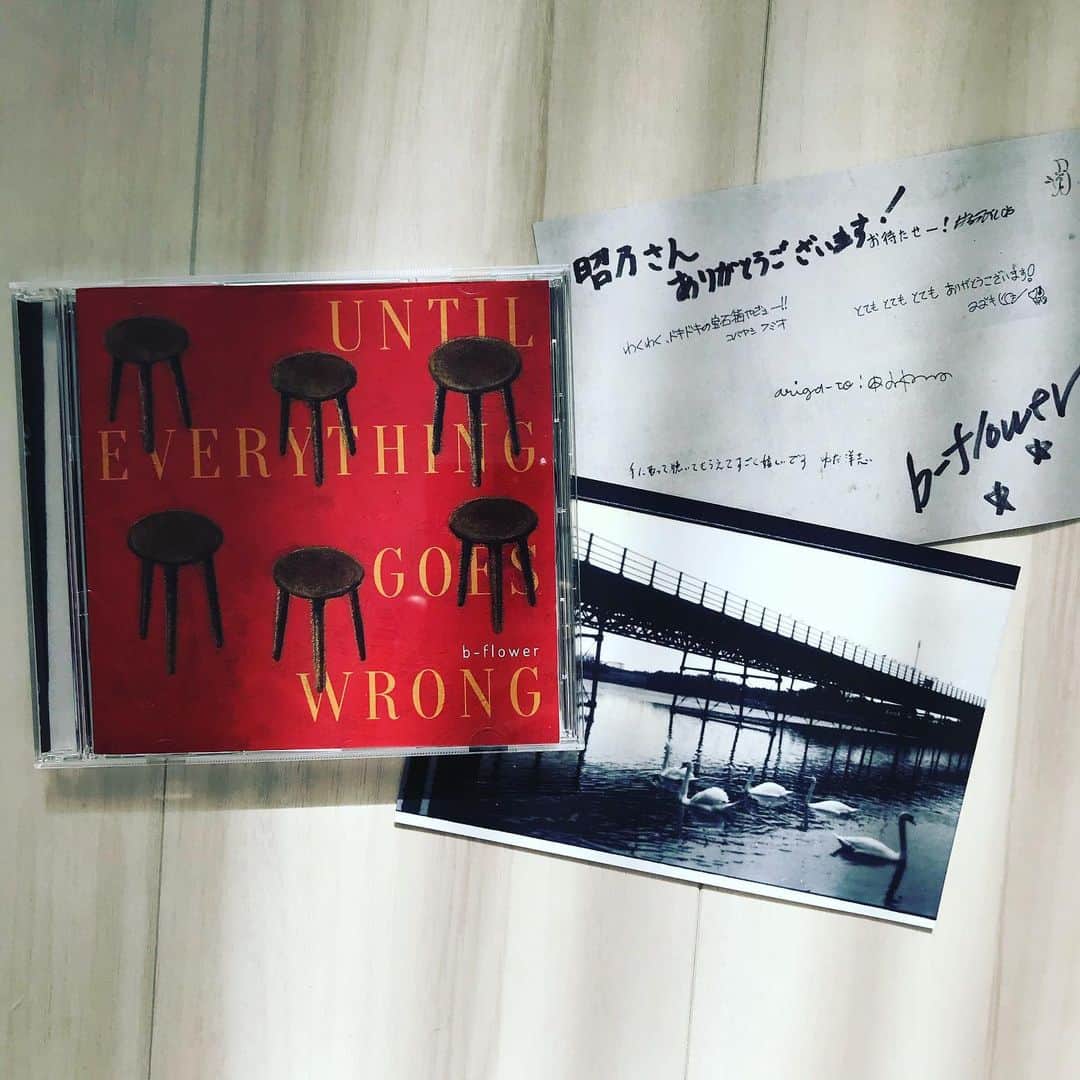 新居昭乃のインスタグラム：「now listening   b-flower  何もかもが駄目になってしまうまで  ✨✨✨✨✨」