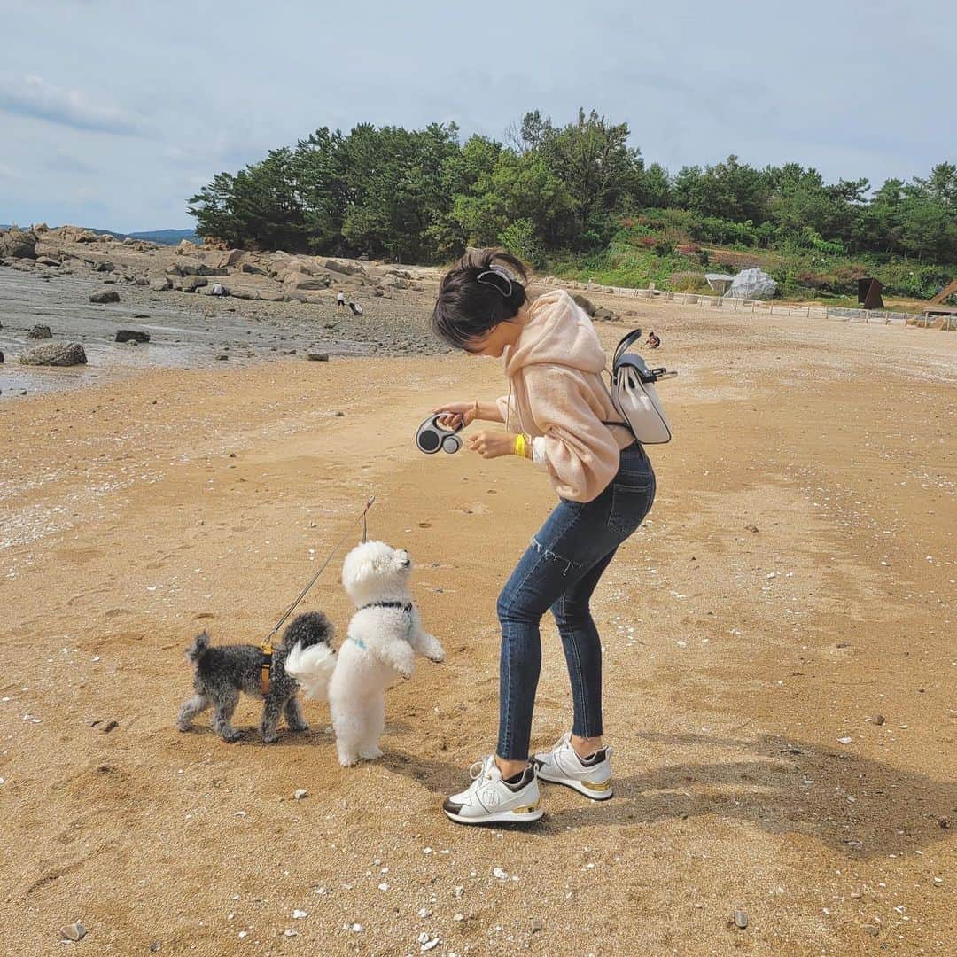 チョ・ミニョンさんのインスタグラム写真 - (チョ・ミニョンInstagram)「문의 폭발했던 앙모찌 산책 스키니 ♥ 몇 달동안 교복처럼 입고다니면서 다양한 코디 준비해서 오픈해드렸는데 ⠀⠀⠀⠀⠀⠀⠀ L 사이즈 오픈후 순식간에 품절❤️ S / M 구매가능하세요 👖✨ ⠀⠀⠀⠀⠀⠀⠀ (너무편한대 신기하게 입으면 말라보이고 체형보정되서 55 ~ 66분들 구매가 늘어나고 있네여 ☺️ ⠀⠀⠀⠀⠀⠀⠀ 인기 많은 코디순도 정리해서 올려드릴게요」11月13日 13時06分 - xxjominxx