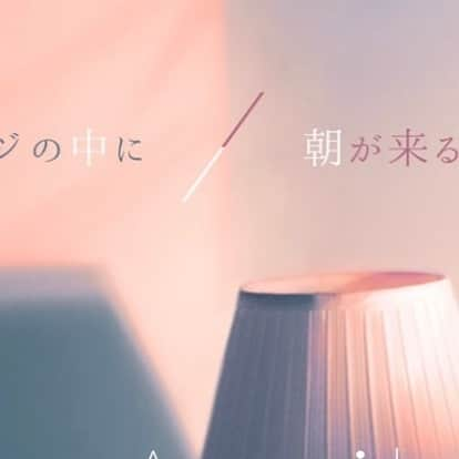 レオラさんのインスタグラム写真 - (レオラInstagram)「「朝が来るように」 . 8年を経て、この曲をこうして届けられることが、何より嬉しいです。 悔しい思いも、苦しい思いも、この歌は一緒に越えてくれました。 . 暗くて長い夜も、いつかは明ける。 そう信じて頑張っている人に、光が差すような曲になりますように。 . #Leola #朝が来るように #本日リリース」11月13日 13時12分 - leola_official