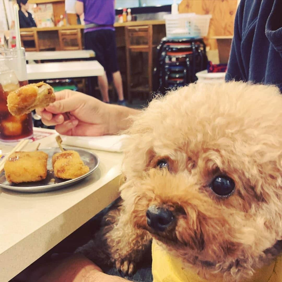 串カツ田中のインスタグラム