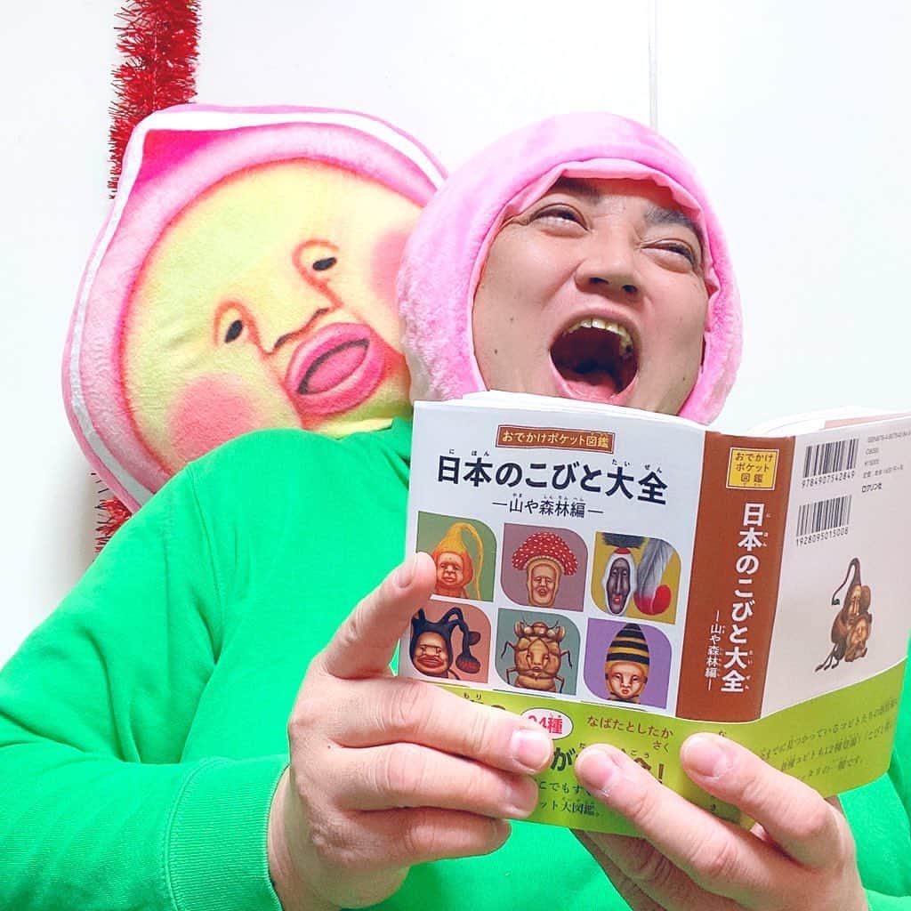 デッカチャンのインスタグラム：「なばたさん @nabatarian の 最新作 『日本のこびと大全−山や森林編−』 を手に入れました。 ポケットサイズで見やすい！ 今度、会いに行こうかな？ GO TO KOBITO！ #こびとづかん @kobitosofficial #カクレモモジリ」