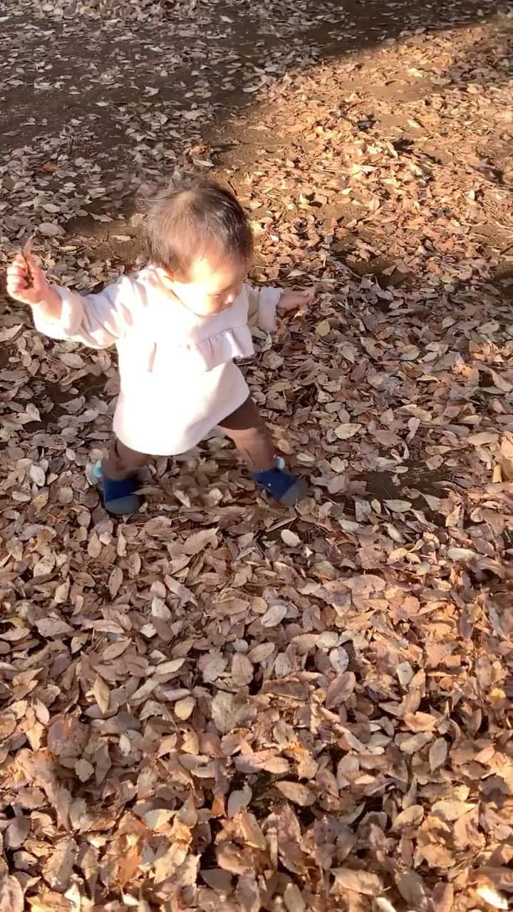 来夏のインスタグラム：「#🍂 健やかに👶🏻 たくさん自然と触れあおうー🌏 #生後11ヶ月 #11monthsold」