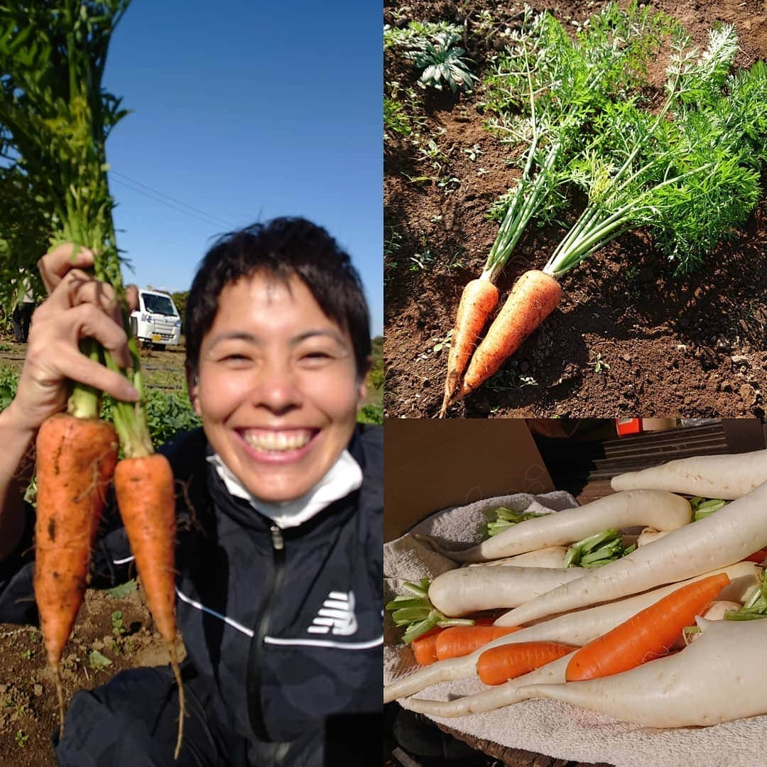 上田藍さんのインスタグラム写真 - (上田藍Instagram)「. I helped my friend's field.  Yummy! I really enjoyed it.🥕🥬😋  #organicvegetables🍆🥕🍅🥒 #Pesticide-free #Goodforthebody🌱  ：：：：：：：：：：：  長年、身体のケアをお願いさせて頂いている、矢島実トレーナーから「畑に来てみる？」と誘っていただいたので、 先日、矢島トレーナーが育てられている、無農薬有機お野菜の畑へ行って収穫のお手伝いをさせてもらってきました🙌☀️✨  落花生(おおまさり)や人参、里芋、大根などなど...栄養のある土の中から顔を出してきた野菜達は元気に光ってました🥕🥬✨ 土をこうして触るのも久しぶりで、大根は足が生えてるみたいな形だったり、落花生の仕訳をしたり、カラス避けを補強したり、、、と楽しませていただきました🙏✨  そして、お持ち帰りをさせてもらったお野菜達で豚汁を作ってみたのですが、めちゃめちゃ美味しかったです🤤🎵素材の味がとっても濃くて料理上手になったような錯覚を起こしました(笑) そんな、体にピースな1日となりました～🥰感謝💛 #無農薬有機野菜🥕🍠 #土いじり初心者  #大根のものまね #体に優しい時間 #皮ごと美味しくいただきました😋 #一杯目は出汁のみの薄口  #二杯目からお味噌入りで楽しみました」11月13日 14時01分 - ai_love_tri