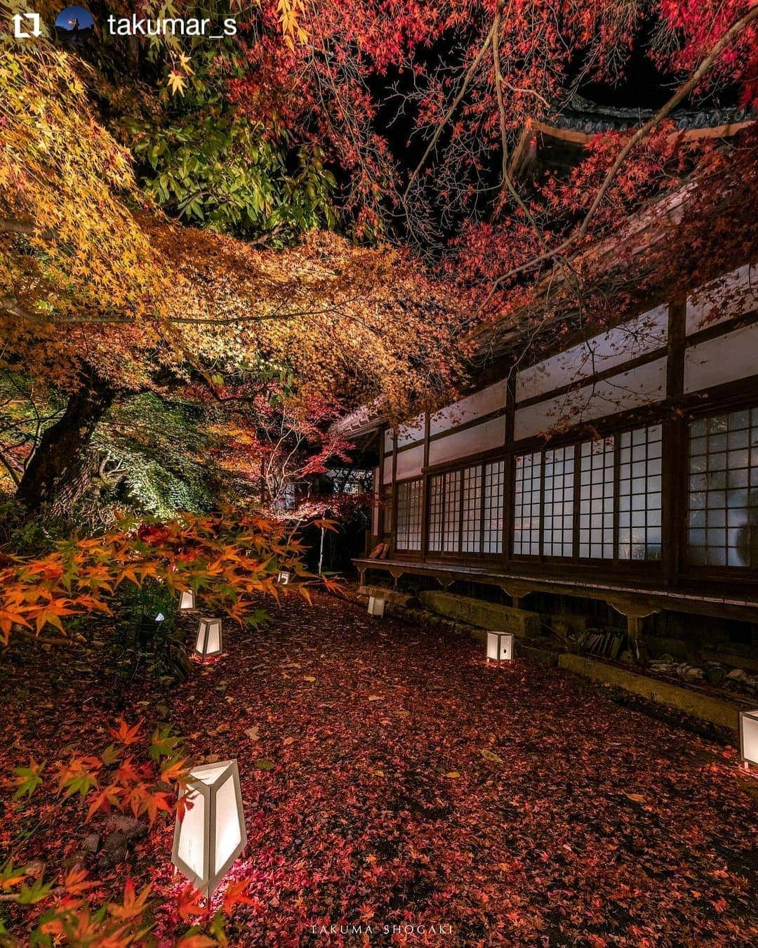 カメラのキタムラさんのインスタグラム写真 - (カメラのキタムラInstagram)「#Repost @takumar_s • • • • • • 神蔵寺  .  『神蔵寺紅葉ライタップ』  ライタップの写真の現像めちゃくちゃ楽しい。  意外とライタップイベント各所でやってるようなので  頑張って回ってみようかしら🙄  ※※※※※※※※※※※※※※※※※※※※※※※ 撮影日　　2020.11 使用機材　Nikon Z7  　　　　　nikkor 14-24f2.8 場所　　　Kyoto ※※※※※※※※※※※※※※※※※※※※※※※  #icu_japan #picture_to_keep #ファインダー越しの私の世界 #写真好きな人と繋がりたい #retrip_news #東京カメラ部 #rox_captures #whim_life #look_japan #everyones_photo_club #japan_bestpic_ #special_spot_ #神社仏閣好きな人と繋がりたい #s_shot #wu_japan #photo_shorttrip #ap_japan_ #photo_jpn #streetclassics #神蔵寺 寺 #histrip_japan #ptk_love #raw_japan #紅葉 #igersjp #写真を止めるな #こころから」11月13日 14時14分 - camera_kitamura